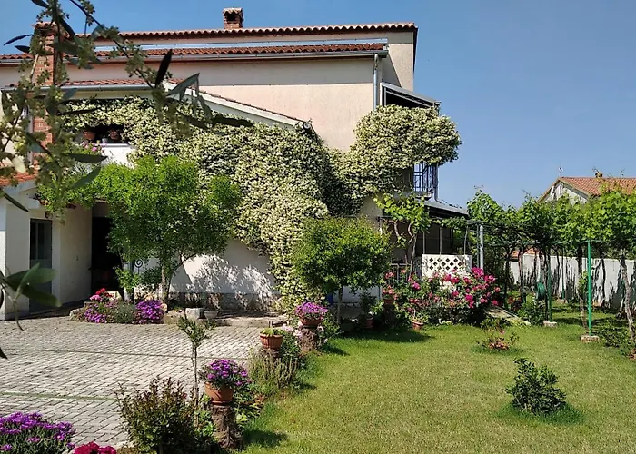Apartment Sasa Bozac